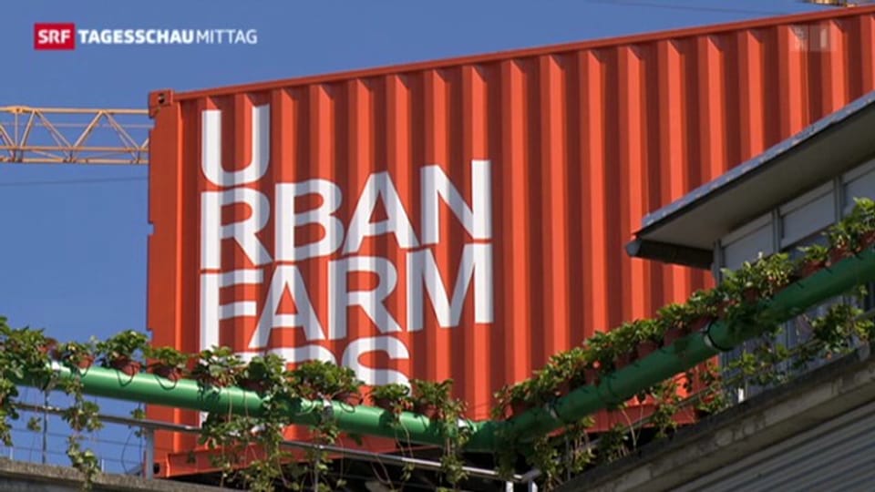 Verkauf von Urban-Farming-Produkten