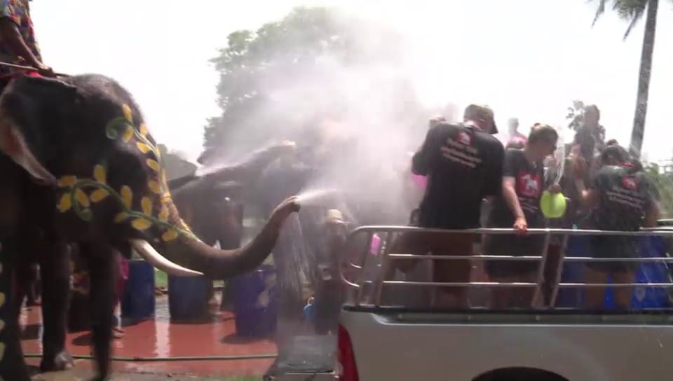 Wasserschlacht zwischen Menschen und Elefanten