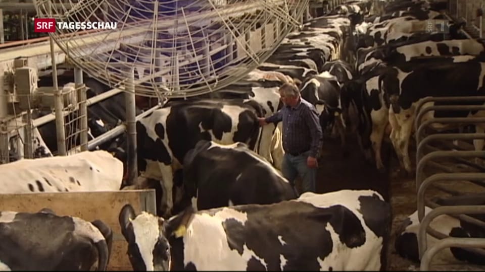 Staatliche Hilfe für Milchbauern in Deutschland