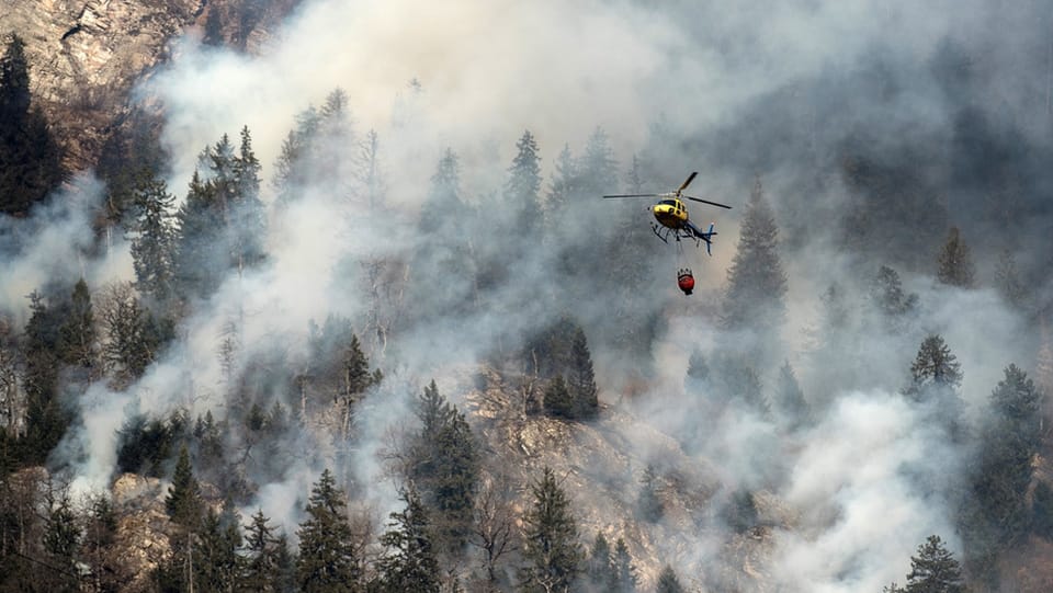 Graubünden bereitet sich auf mehr Waldbrände vor