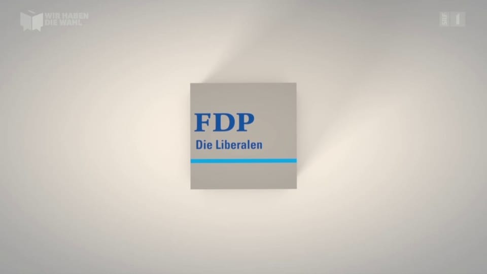 Die FDP: Die Bilanz
