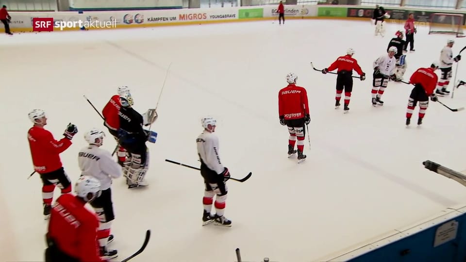 Die Schweizer Eishockey-Nati vor der WM