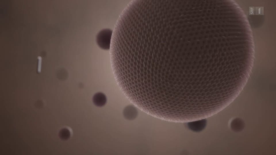 Archiv: «Nanotechnologie: Was bringt sie uns?»