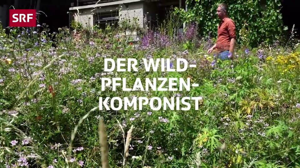 Der Wildpflanzen-Komponist Dani Pelagatti