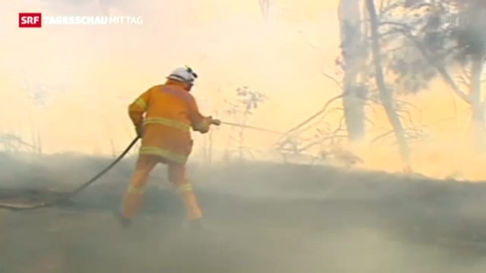 Gravierende Buschbrände in Australien