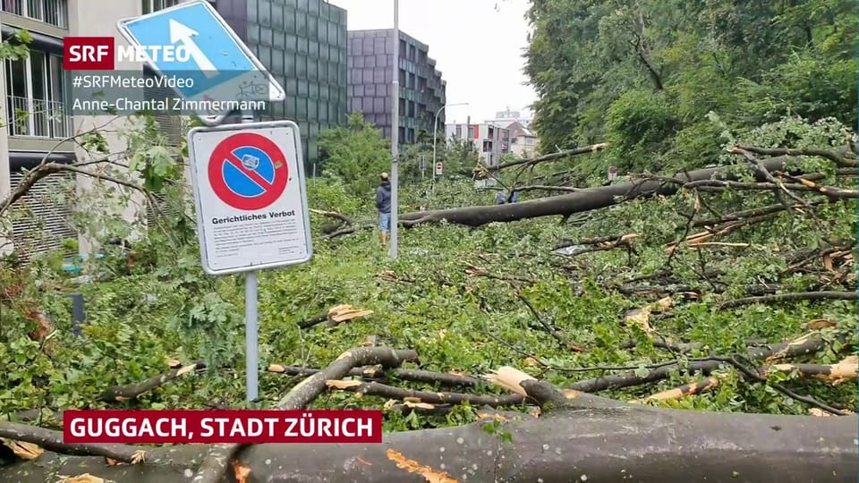 Ein nächtliches Gewitter fällte im Raum Zürich zahlreiche Bäume.