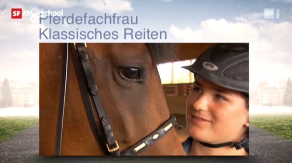 Berufsbild: Pferdefachfrau EFZ
