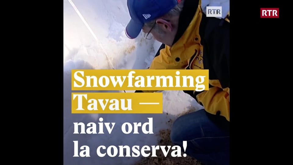 Snowfarming Tavau - naiv ord la conserva!