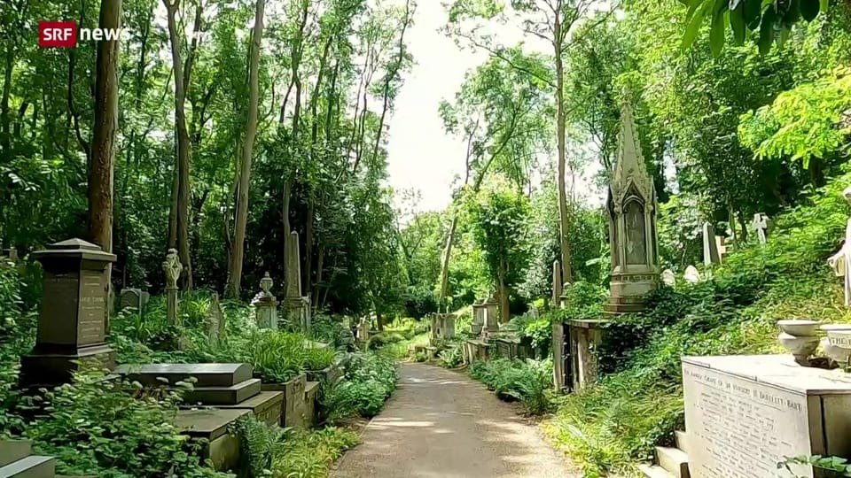 Bäume leben in Frieden auf dem Friedhof mitten in London