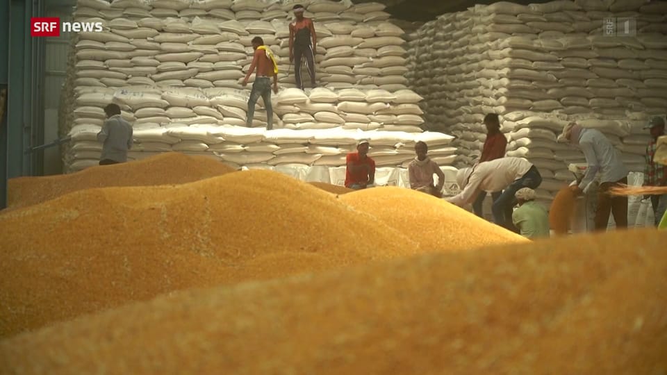  Indien stoppt Export von Weizen