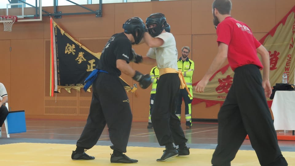 Aarau für ein Tag Zentrum der Schweizer Kung Fu Szene