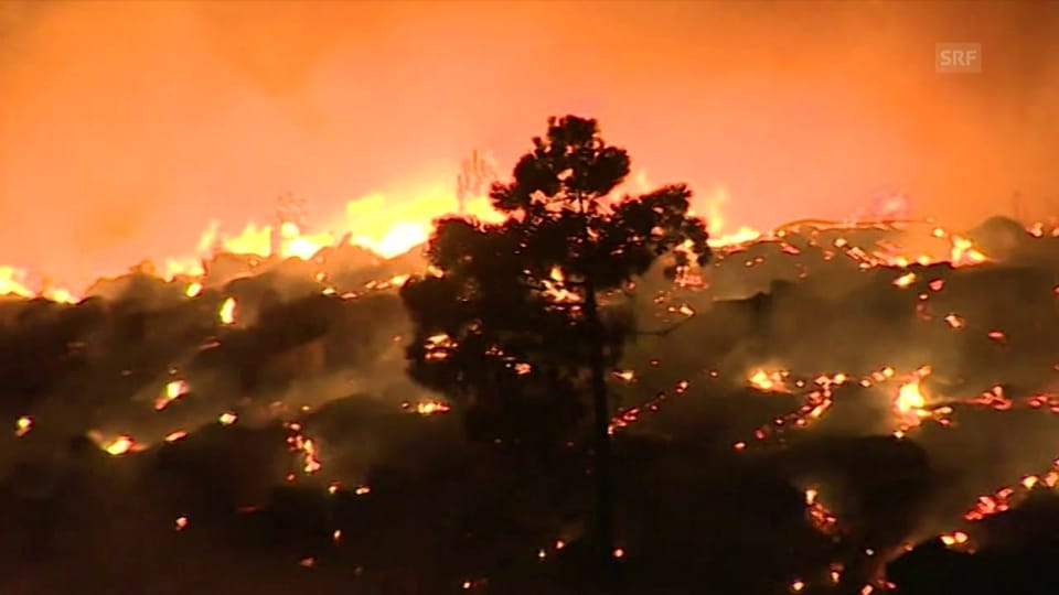 Neue Waldbrände in Portugal