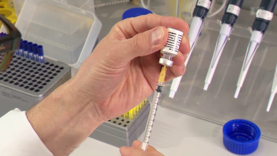 Fortschritt bei Impfung gegen Heuschnupfen