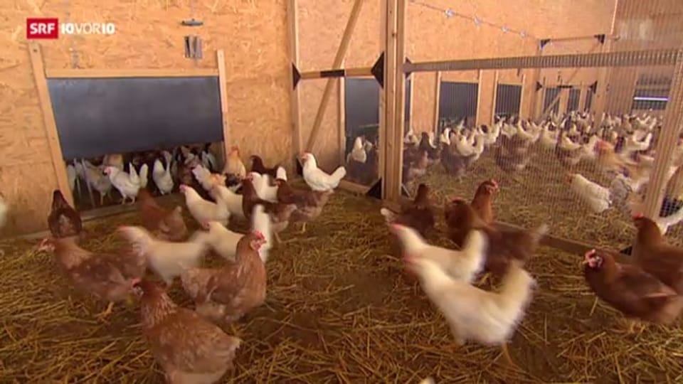 Bio-Bauern wollen maximal 4000 Hühner pro Hof