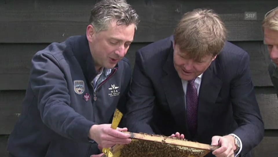 König trifft Königin: Willem Alexander und die Bienen (unkomm.)