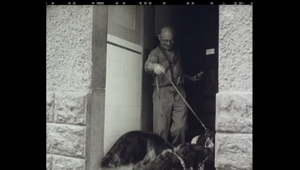 Neuer Beruf Hundesitter (1959)