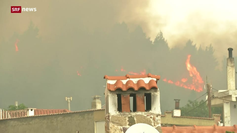 Griechenland: Waldbrände kommen Athen gefährlich nahe