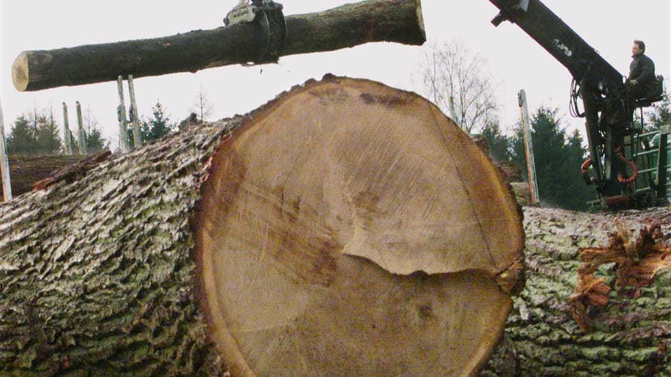 Umstrittene neue Subvention für Solothurner Holz