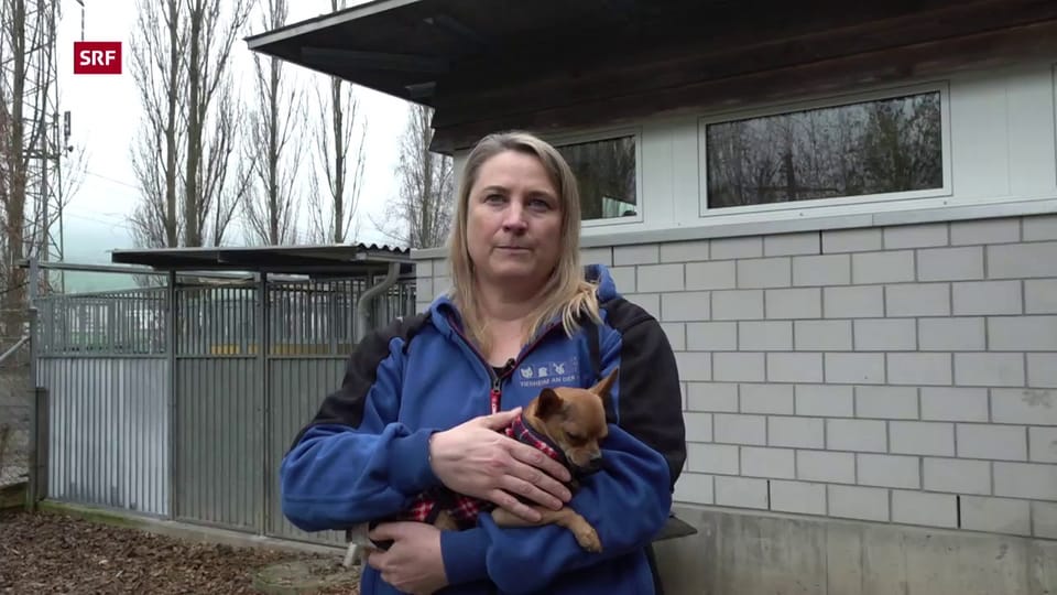 Petra Roos: «Leute wollten einen Hund mieten»