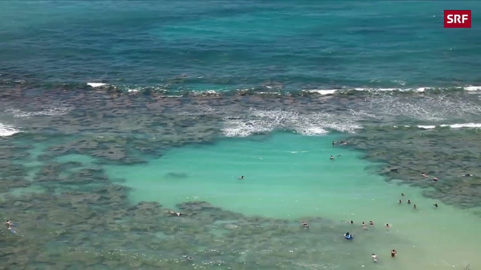 Hawaii verhängt Sonnencrème-Verbot