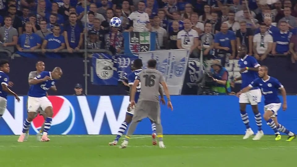 Zusammenfassung Schalke - Porto