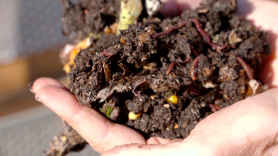 Ökologisch bestatten - Werden wir zu Kompost!