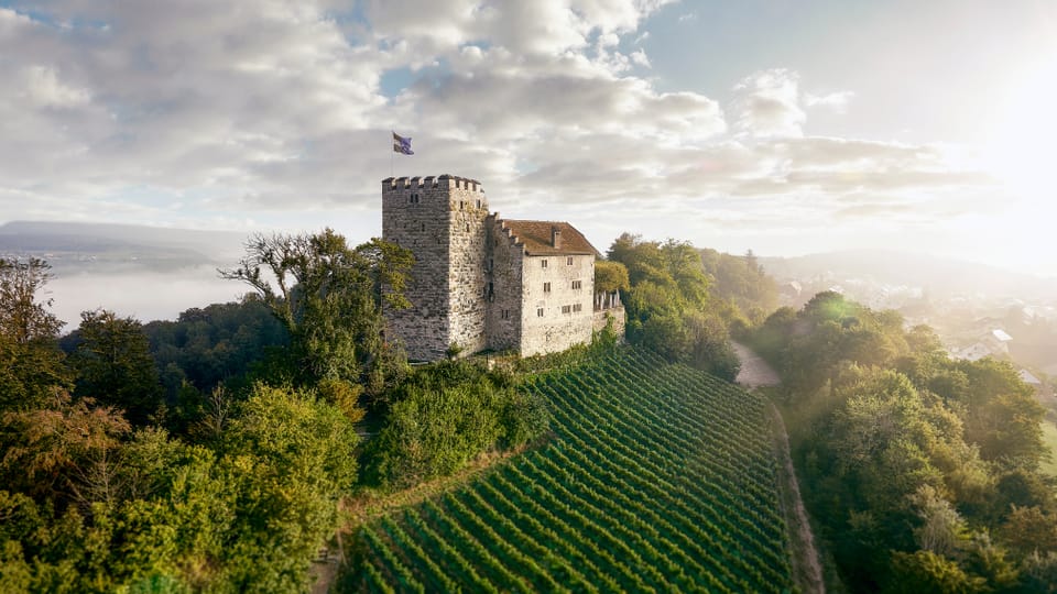 Eine internationale Schlosspartnerschaft macht für ein internationales Schloss Sinn, sagt Marco Castellaneta, Direktor Museum Aargau
