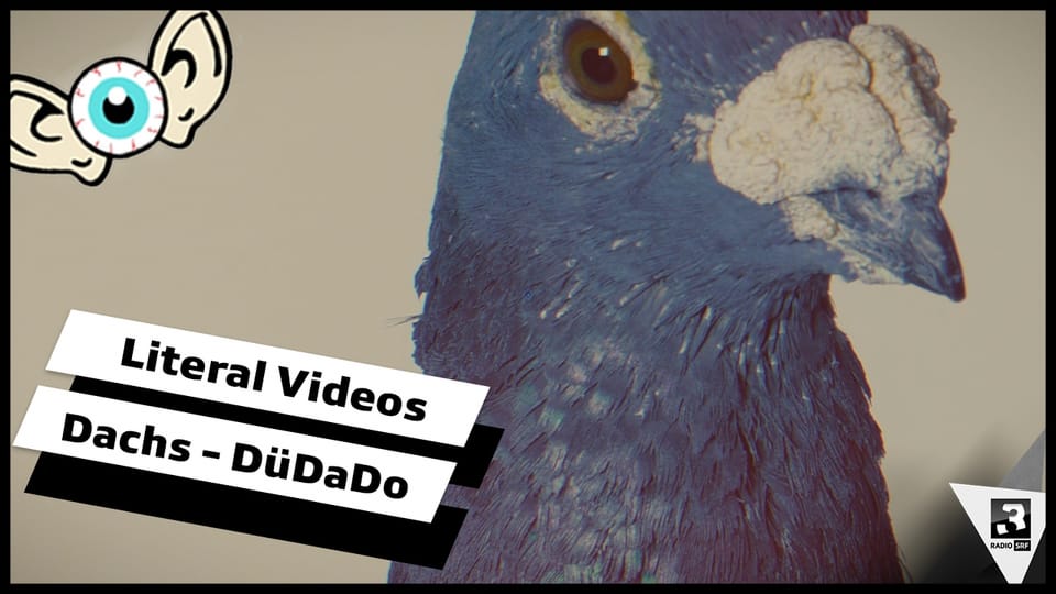 Dachs «DüDaDo» – Das Wort zum Video