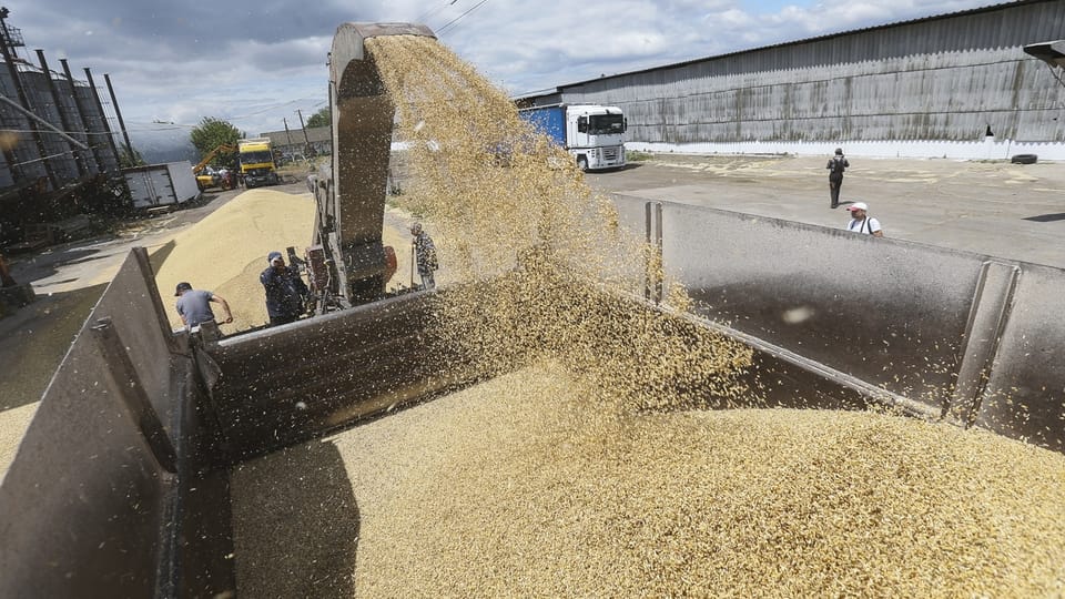 Gespräche sollen Export von ukrainischem Getreide ermöglichen