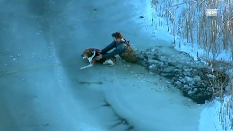 Hund im Glück: Retter bergen ihn vom Eis. (unkommentiert)