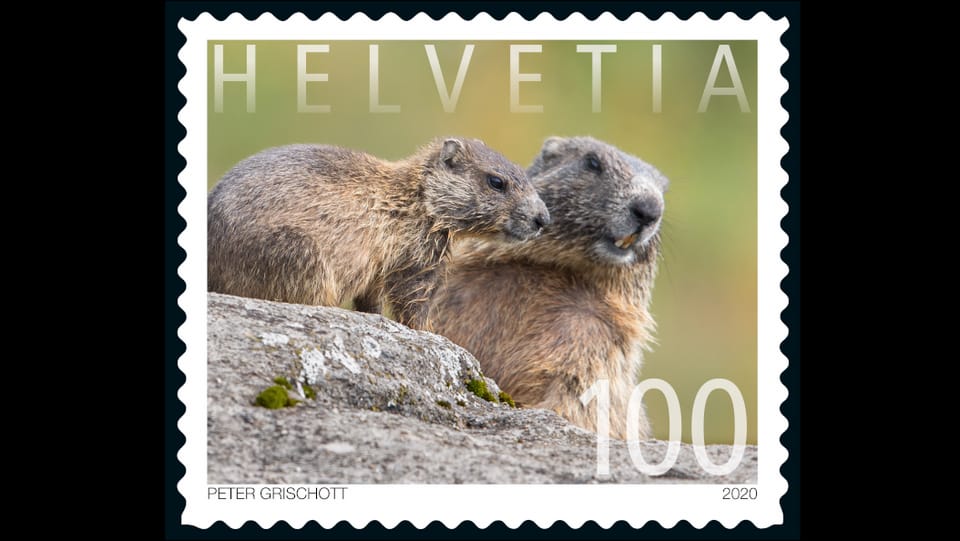 "Es ist schon cool, eine eigene Briefmarke zu haben", Peter Grischott