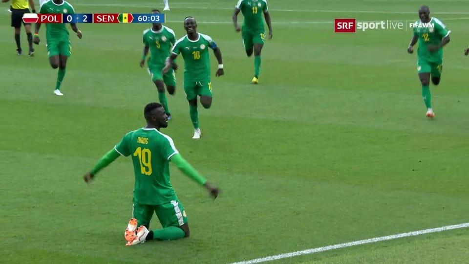 Die Live-Highlights bei Senegal-Polen