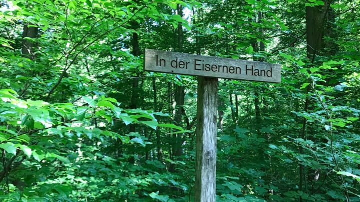 Der Basler Grenzwald «Eiserne Hand»