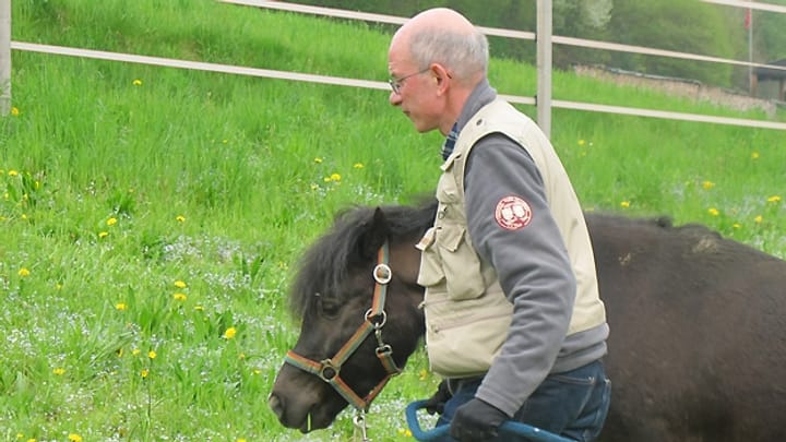 Jürg Oehninger lernt Pony striegeln