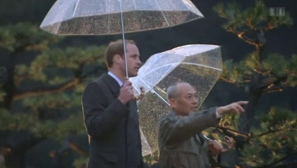 Prinz William: Big in Japan