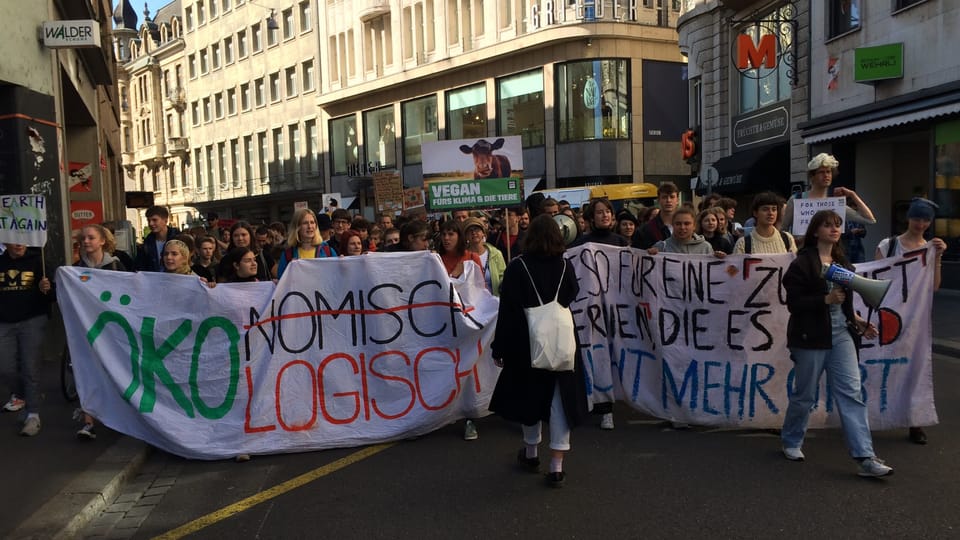 Mehrheitlich junge Demonstranten ziehen durch die Basler Innenstadt.