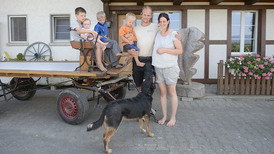 Zur Bauernfamilie statt in die psychiatrische Klinik: Berner Projekt soll im Kanton Solothurn Fuss fassen