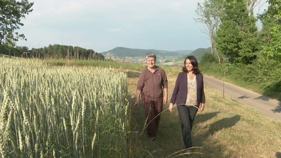 Archiv: Wie soll die Schweizer Landwirtschaft in Zukunft aussehen?
