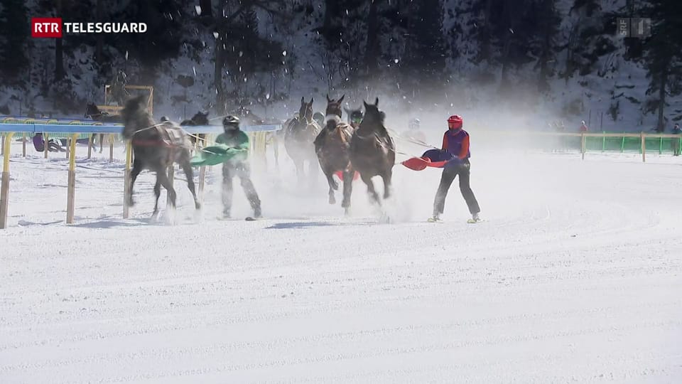 Skijöring: in sport spectacular – mintgatant forsa in zic «memia» spectacular