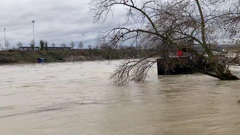 Hochwasser am Rhein bei Birsfelden/BL, 12. Dezember, Regula Wenger