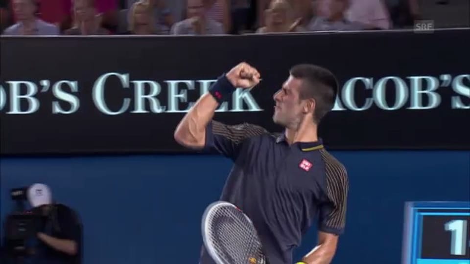 Djokovic - Ferrer Highlights («sportlive»)