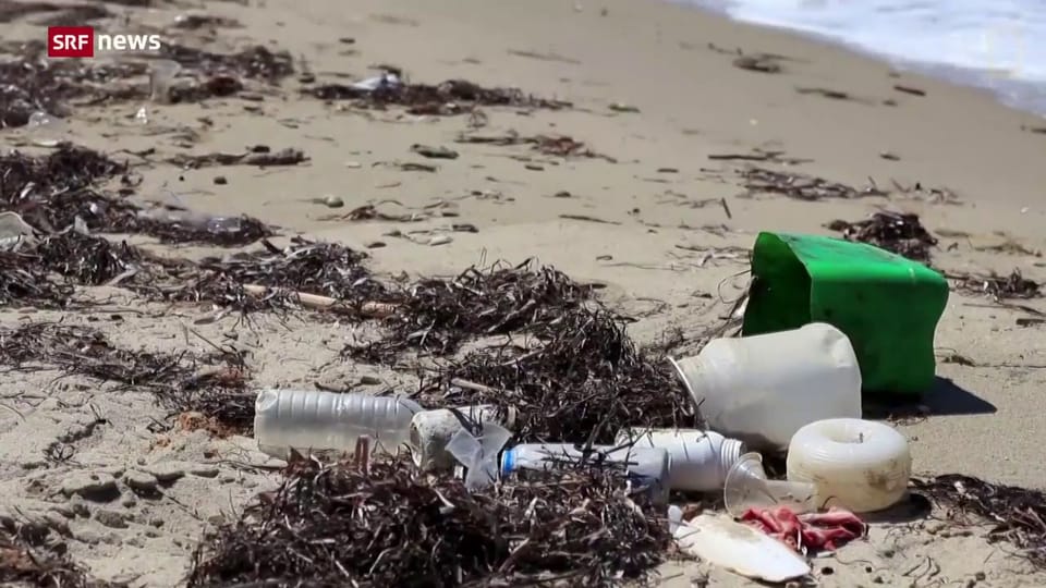 «Die Idee»: ETH-Forscherteam will Flüsse von Plastik befreien