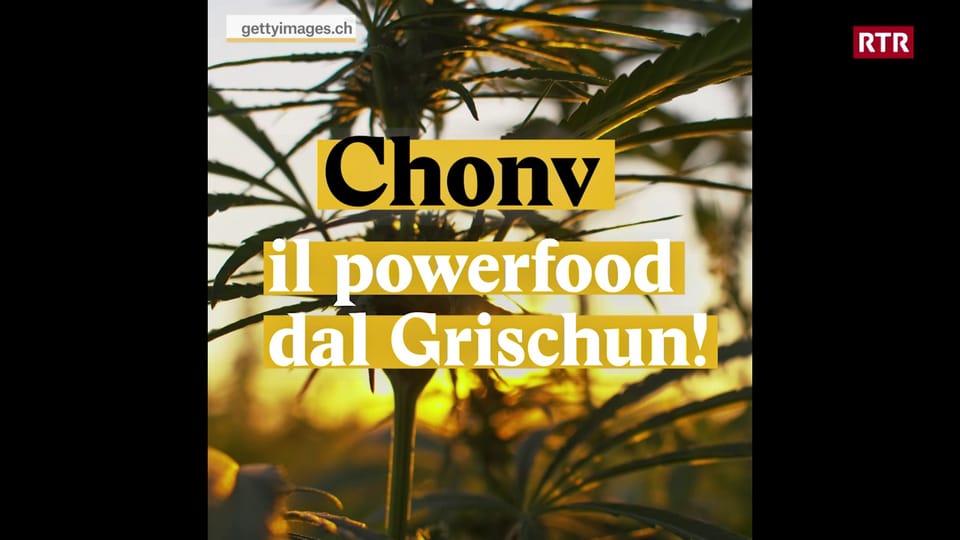 Chonv - il powerfood dal Grischun!