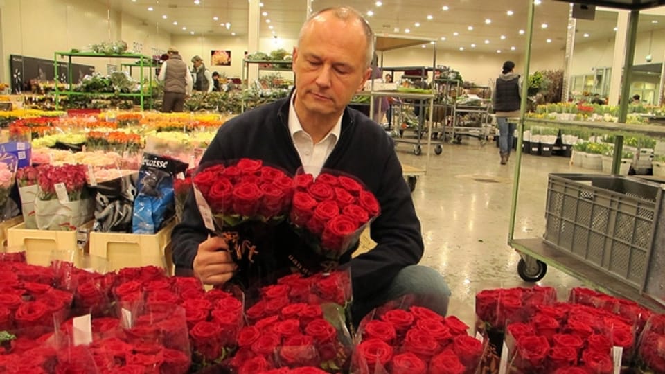 Reportage aus der Blumenbörse Zürich