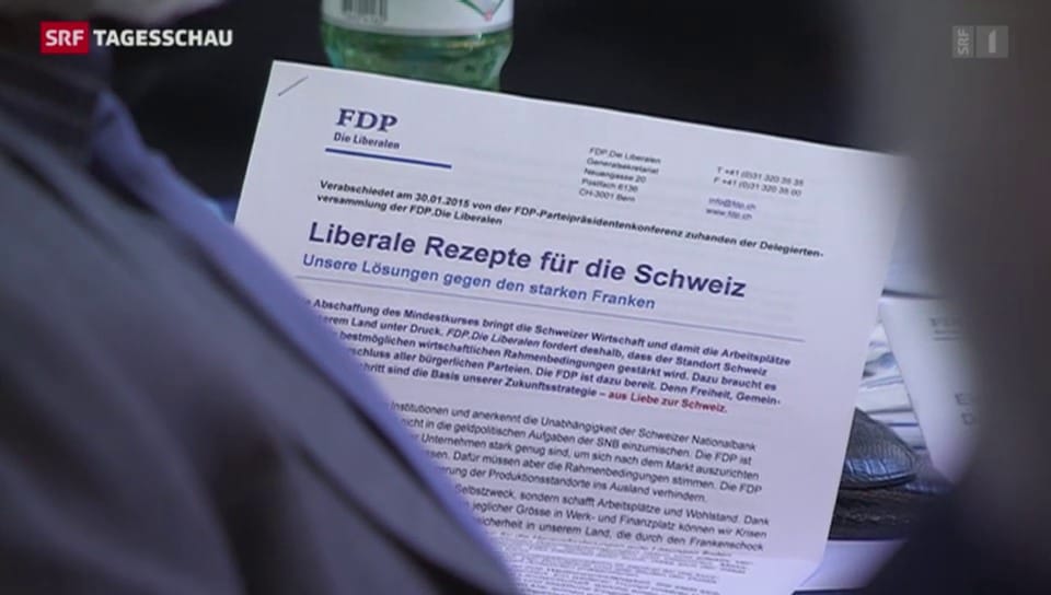 Frankenstärke dominiert FDP-Delegiertenversammlung