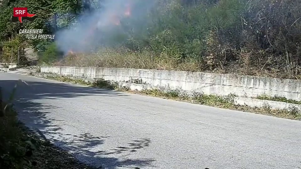 Ein Mann zündet Büsche an einem Strassenrand an (Sarno, Provinz Salerno, 17.8.20)
