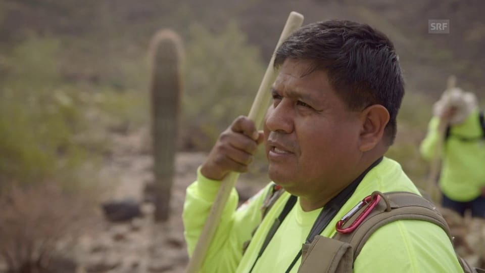 Freiwillige suchen in der Wüste Arizonas nach Überlebenden