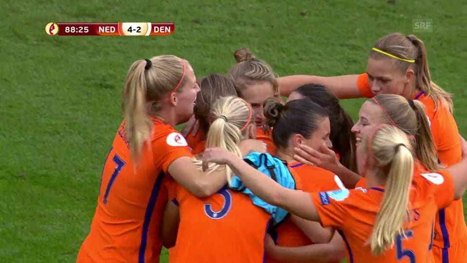 Die Tore bei Niederlande - Dänemark