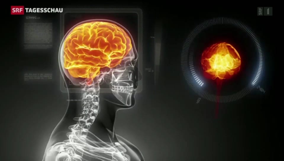 Super-Computer sollen menschliches Hirn simulieren