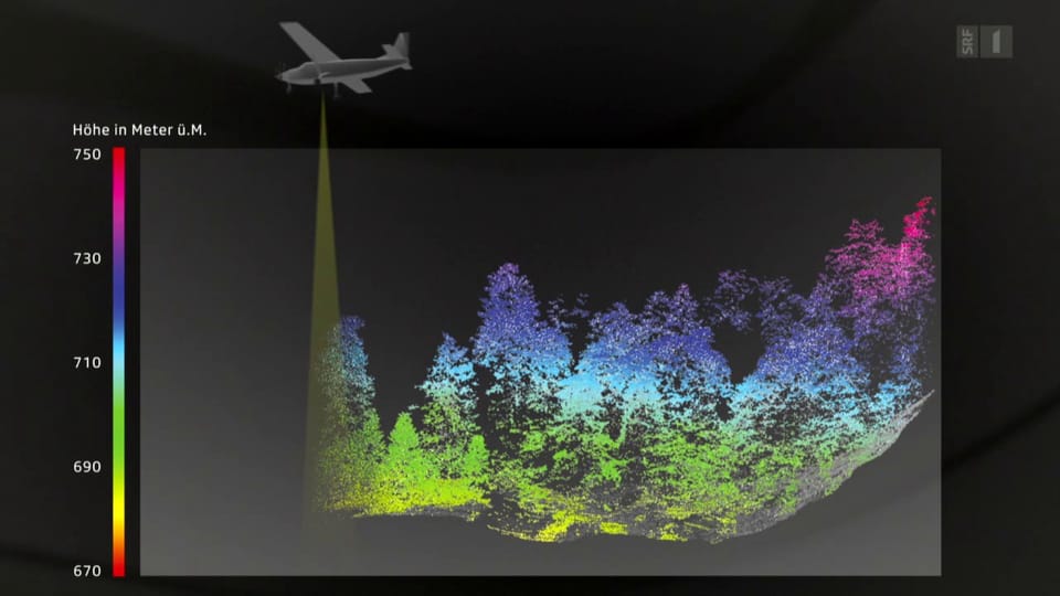 Mit 3D-Scannern den Schweizer Wald besser nutzen